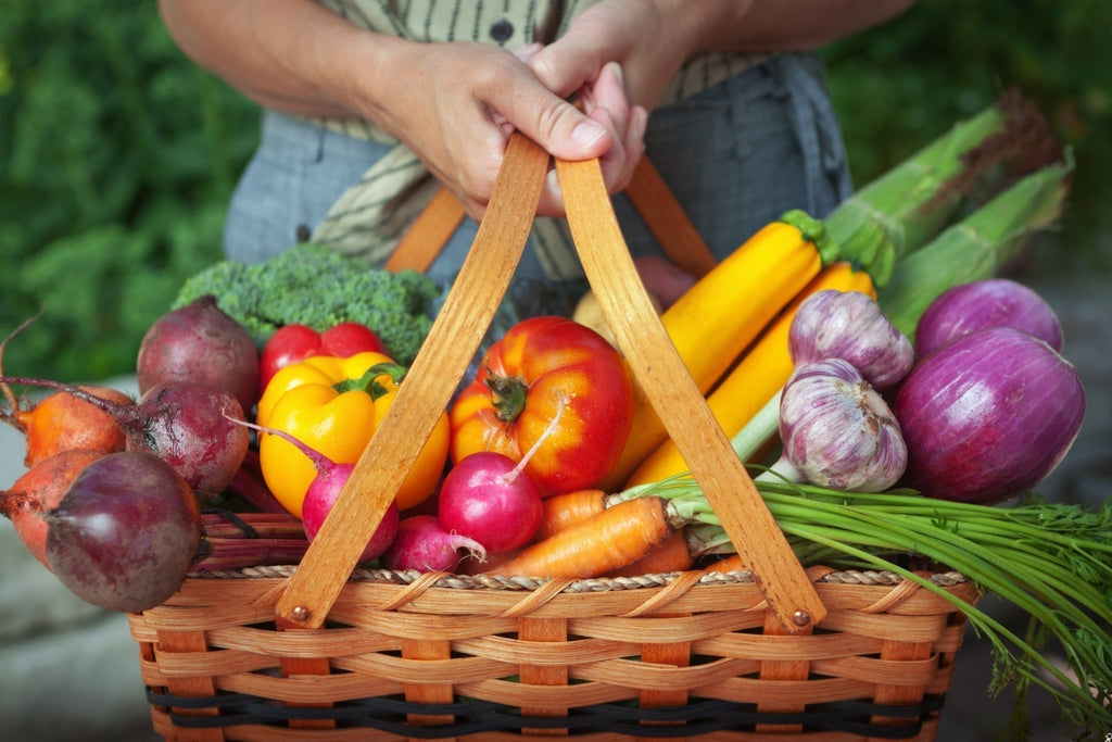 Why Living Soil Is the Key to Better Vegetable Gardening