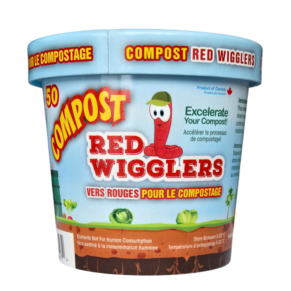 Red Wiggler Compost Worms - Cup of 50 Worms